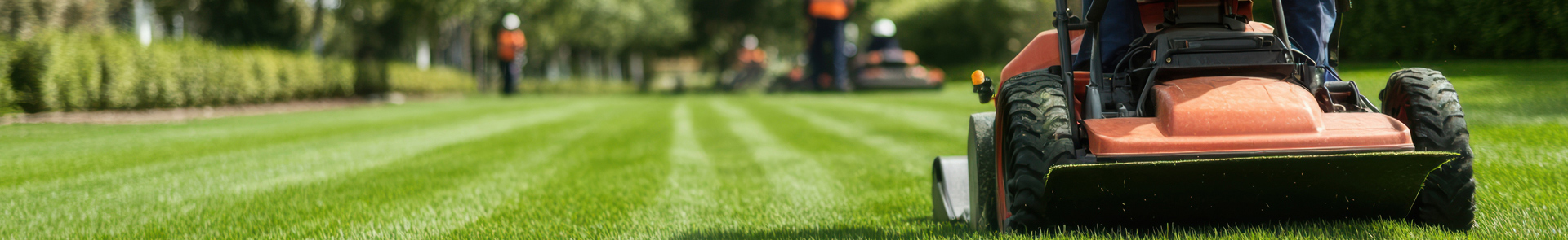 Aménagement espaces verts Guiche, Aménagement espaces verts Pays Basque, Création espaces verts Guiche, Création espaces verts Pays Basque, Élagage Guiche, Élagage Pays Basque, Entretien de parcs Guiche, Entretien de parcs Pays Basque, Entretien espaces verts Guiche, Entretien espaces verts Pays Basque, Travaux agricoles Guiche, Travaux agricoles Pays Basque