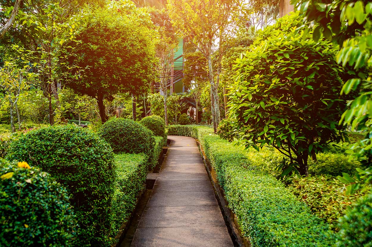 Aménagement espaces verts Guiche, Aménagement espaces verts Pays Basque, Création espaces verts Guiche, Création espaces verts Pays Basque, Élagage Guiche, Élagage Pays Basque, Entretien de parcs Guiche, Entretien de parcs Pays Basque, Entretien espaces verts Guiche, Entretien espaces verts Pays Basque, Travaux agricoles Guiche, Travaux agricoles Pays Basque