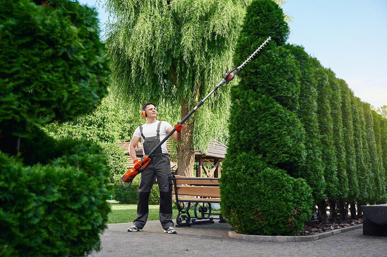 Aménagement espaces verts Guiche, Aménagement espaces verts Pays Basque, Création espaces verts Guiche, Création espaces verts Pays Basque, Élagage Guiche, Élagage Pays Basque, Entretien de parcs Guiche, Entretien de parcs Pays Basque, Entretien espaces verts Guiche, Entretien espaces verts Pays Basque, Travaux agricoles Guiche, Travaux agricoles Pays Basque