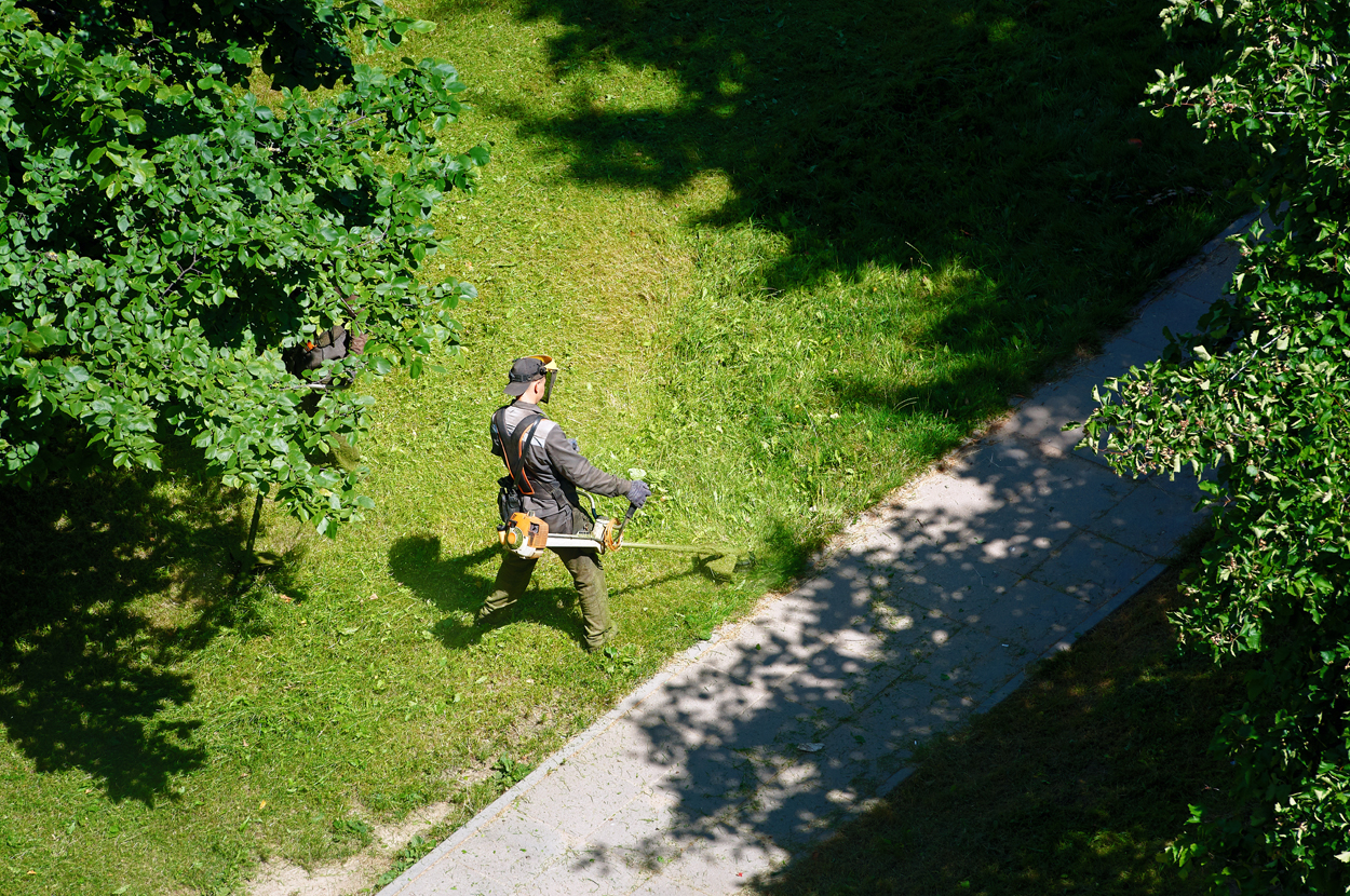 Aménagement espaces verts Guiche, Aménagement espaces verts Pays Basque, Création espaces verts Guiche, Création espaces verts Pays Basque, Élagage Guiche, Élagage Pays Basque, Entretien de parcs Guiche, Entretien de parcs Pays Basque, Entretien espaces verts Guiche, Entretien espaces verts Pays Basque, Travaux agricoles Guiche, Travaux agricoles Pays Basque